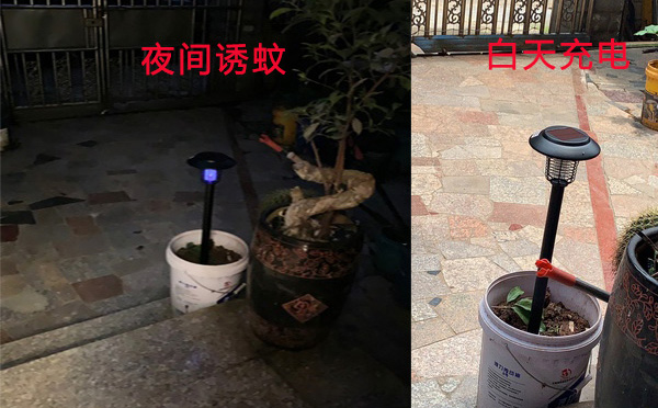 尚科SX08戶外滅蚊燈價(jià)格圖片 尚科SX08戶外滅蚊燈價(jià)格圖片