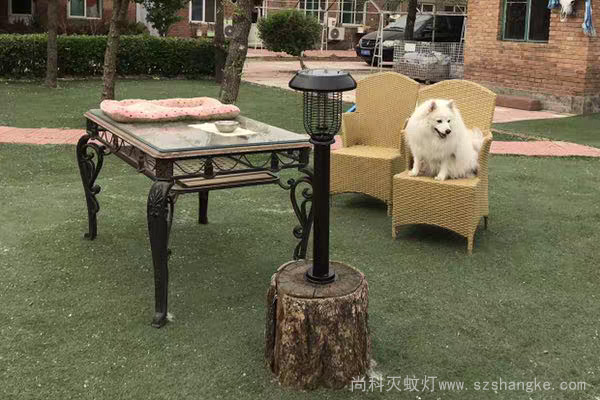 太陽(yáng)能戶外滅蚊燈別墅庭院使用效果 太陽(yáng)能戶外滅蚊燈別墅庭院使用效果