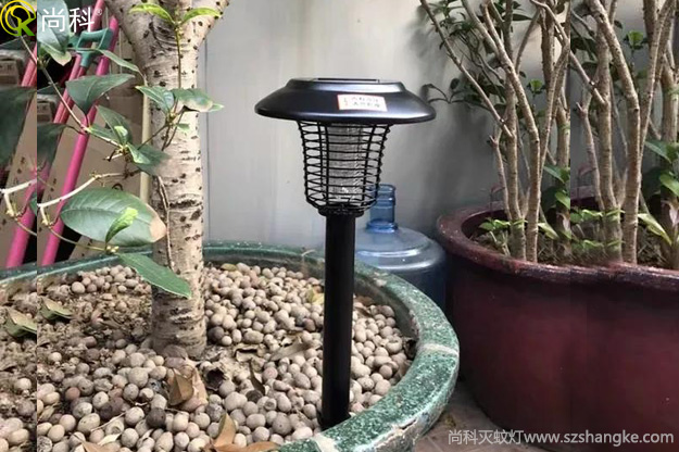陽(yáng)臺(tái)花盆中的黑色小飛蟲(chóng)怎么消滅？